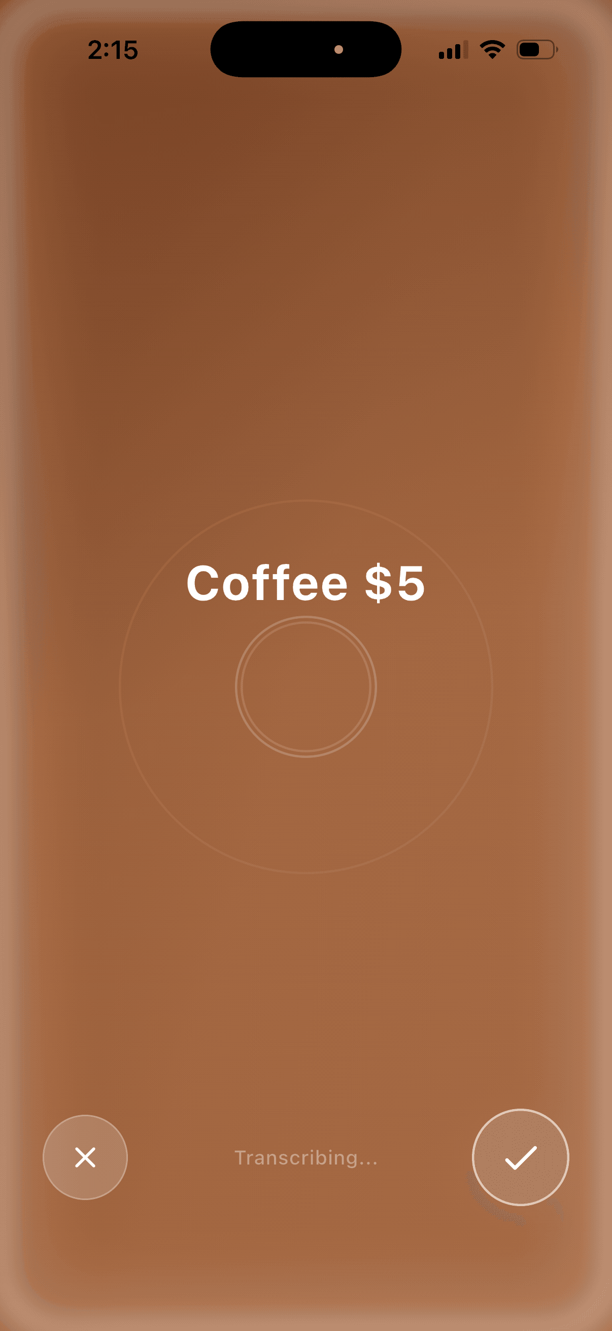 SpendView voice dictation screen